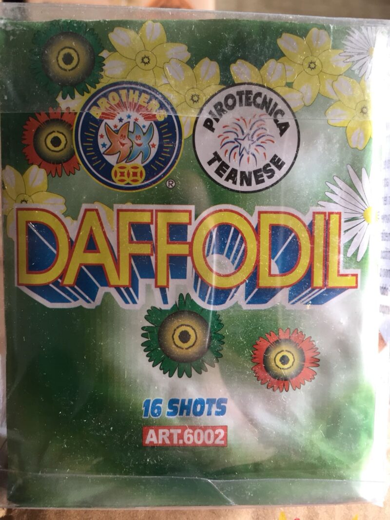 Daffodil-16 Colpi