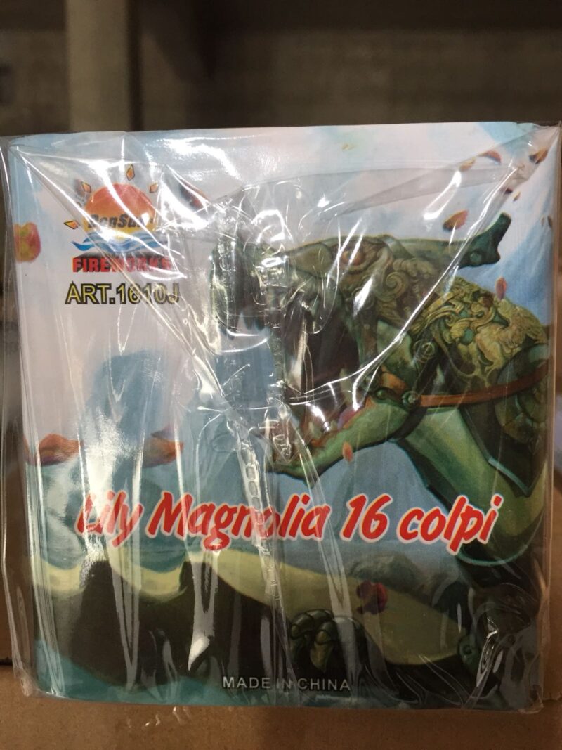 Lilly Magnolia- 16 Colpi