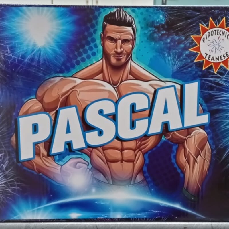 Pascal - 200 Colpi